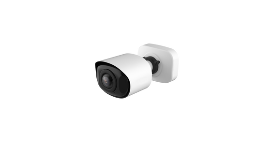 MS-C5365-PE